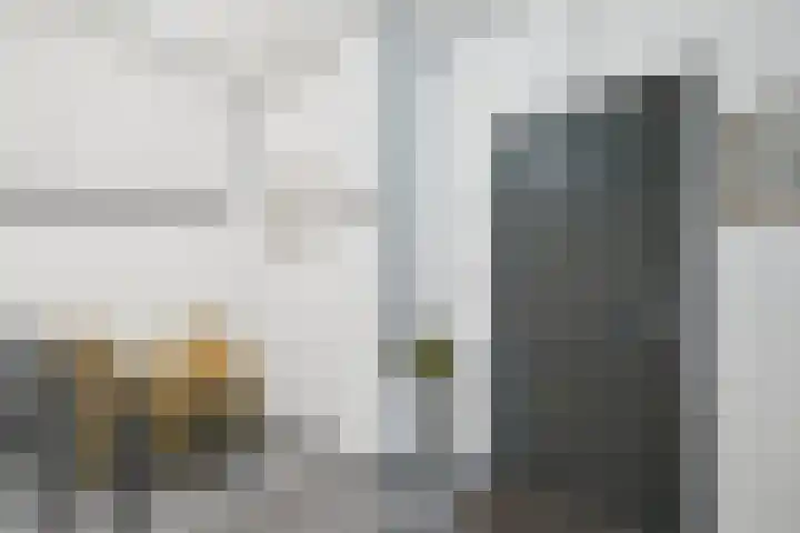 Hof te Zandeplein 37 Kloosterzande thumbnail 9