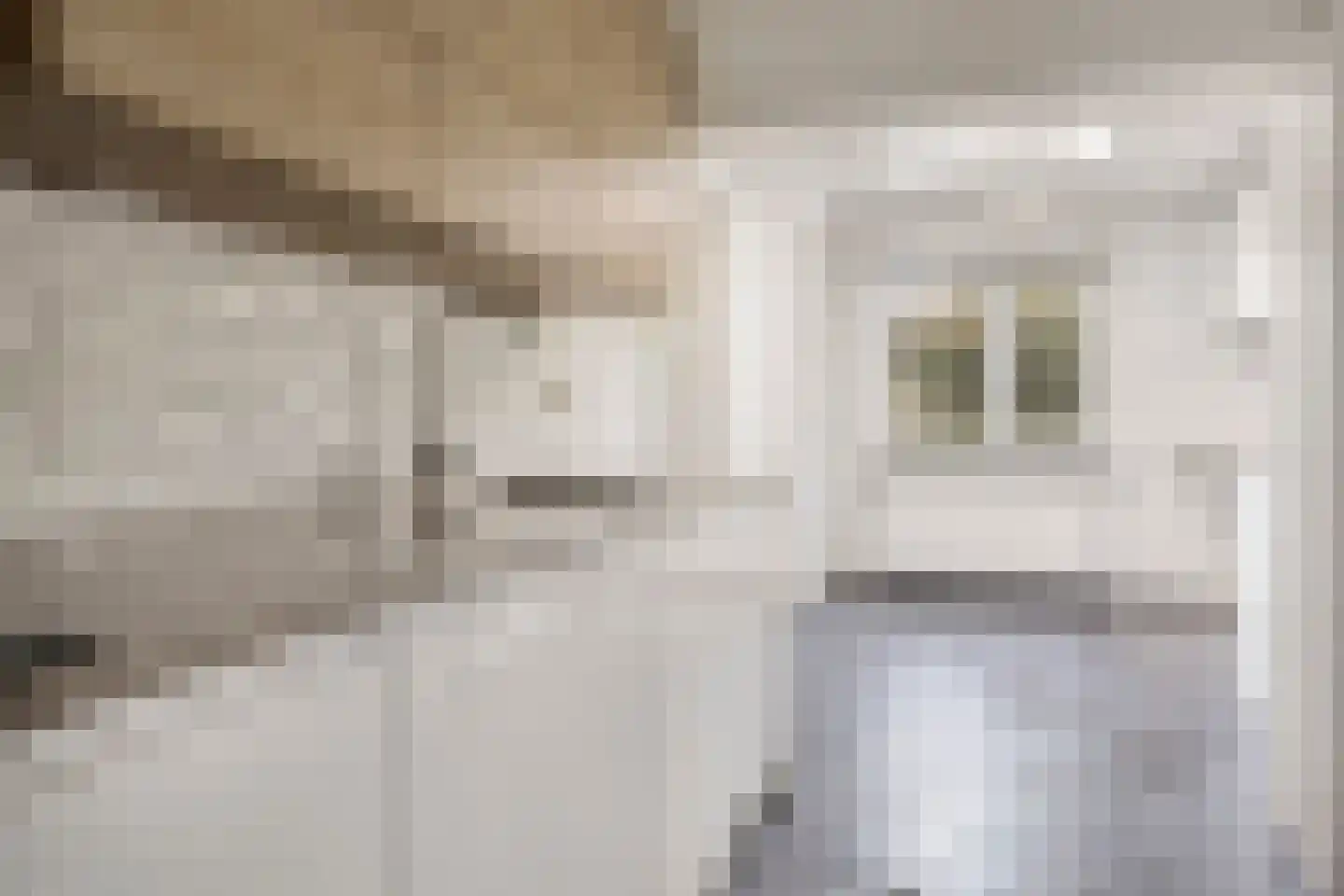 Hof te Zandeplein 9 Kloosterzande thumbnail 10