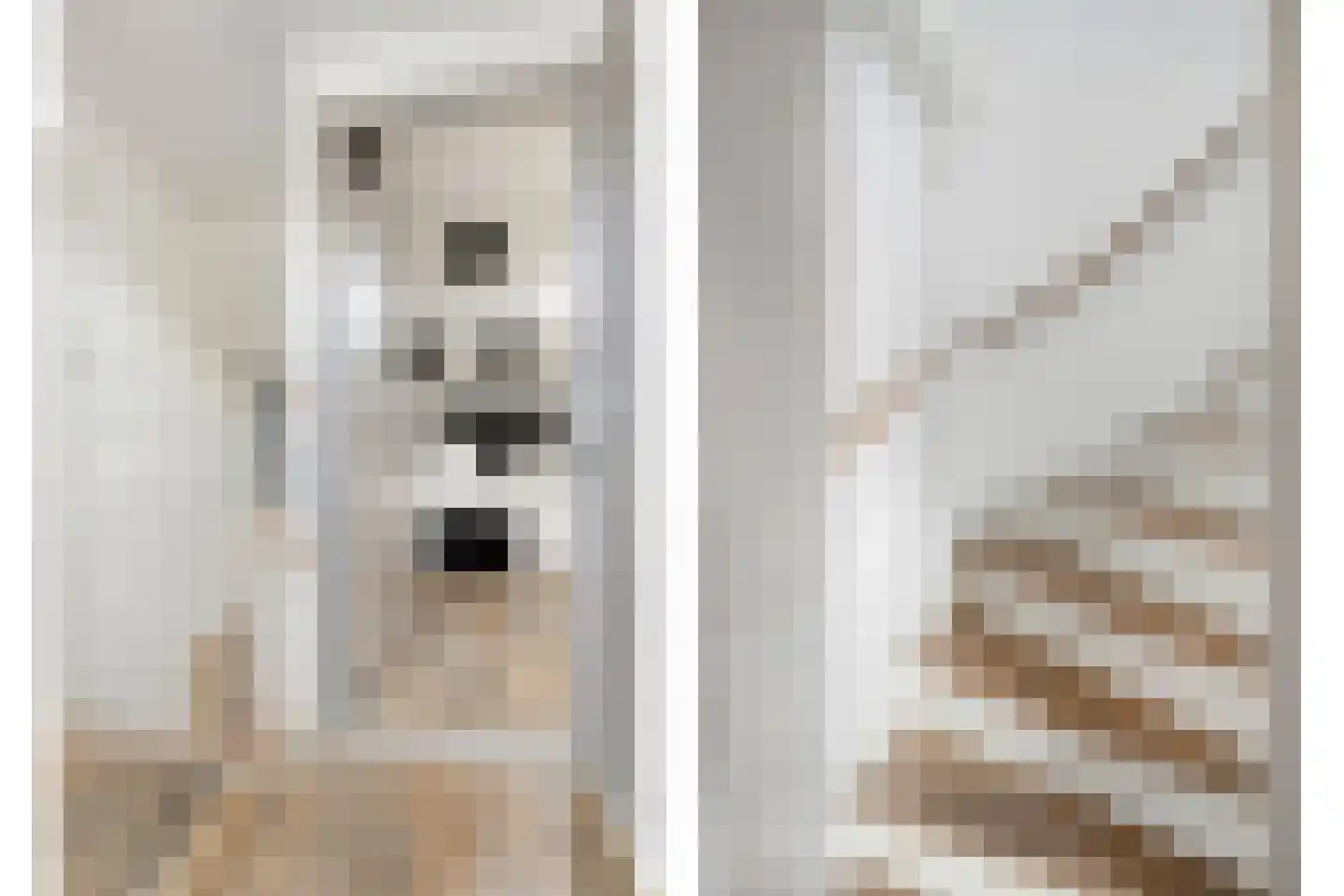 Hof te Zandeplein 9 Kloosterzande thumbnail 13