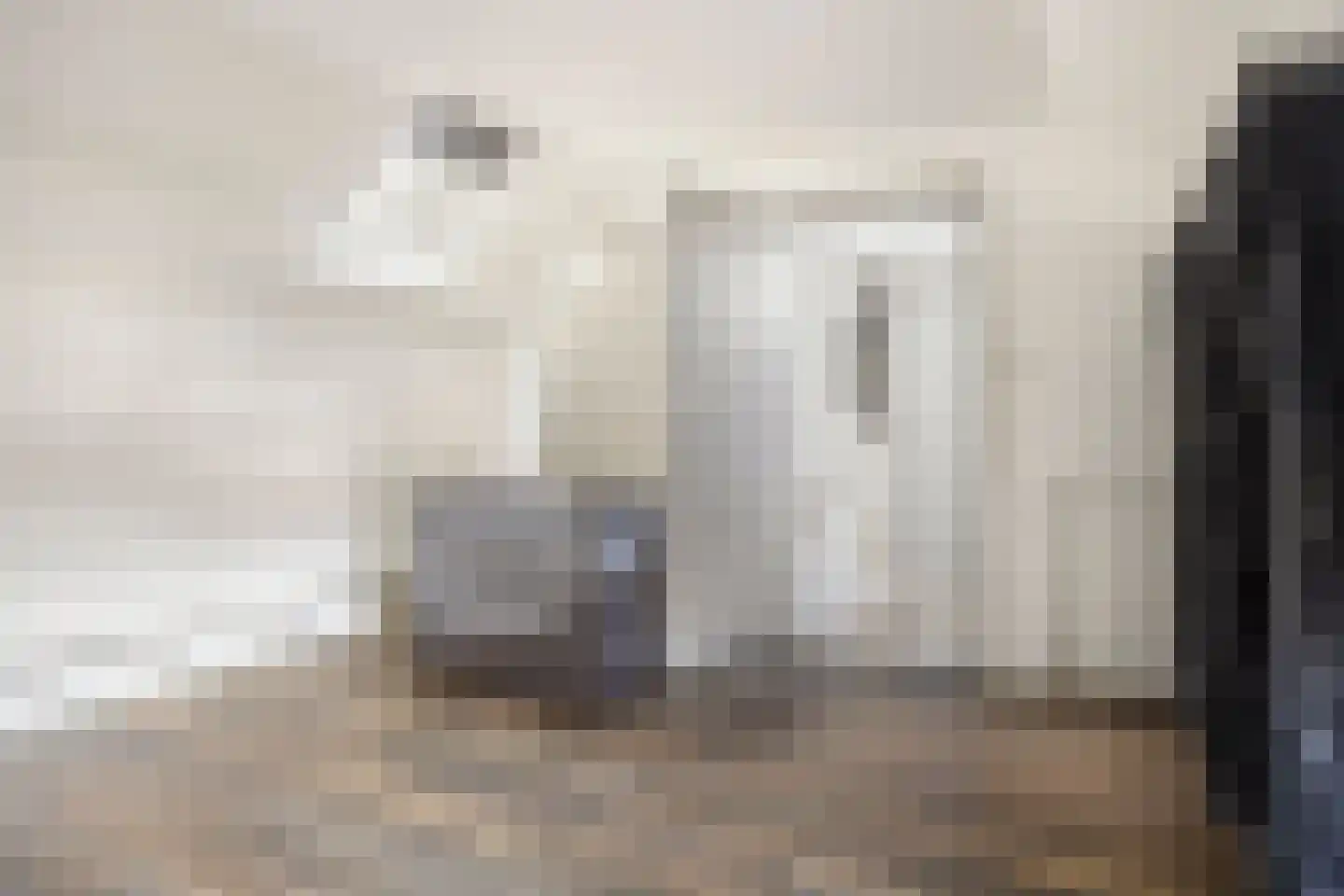 Hof te Zandeplein 9 Kloosterzande thumbnail 16