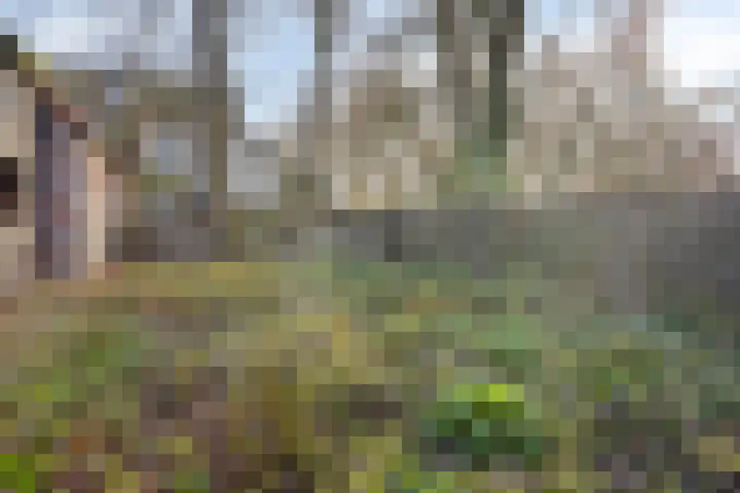 Hof te Zandeplein 9 Kloosterzande thumbnail 20