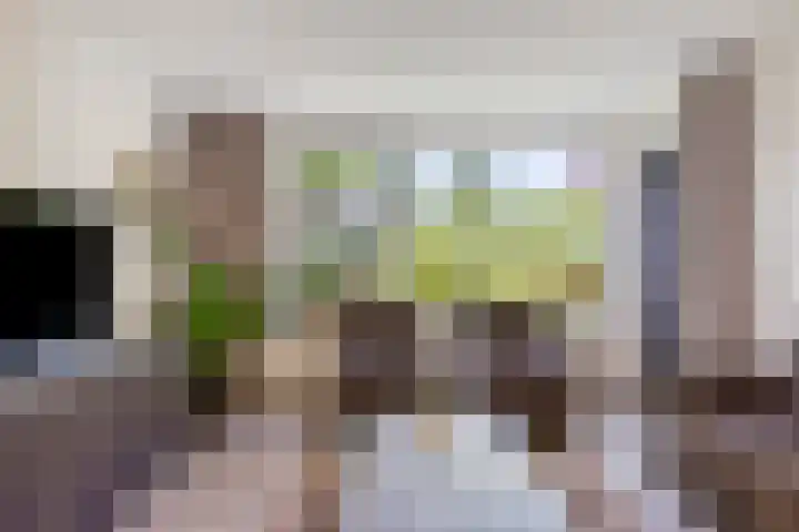Hof ter Dreef 4 Breda thumbnail 15