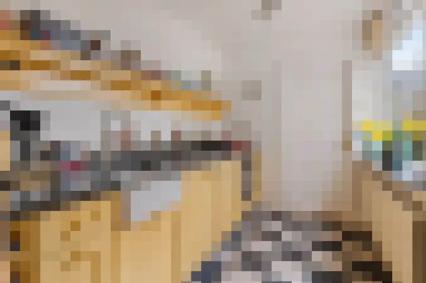 Hof ter Dreef 4 Breda thumbnail 16