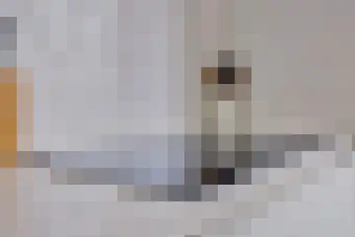 Hof ter Dreef 4 Breda thumbnail 16