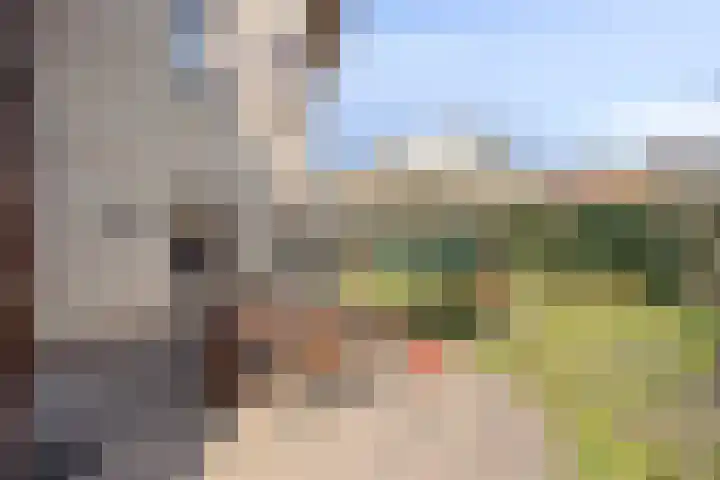 Hof ter Dreef 4 Breda thumbnail 27