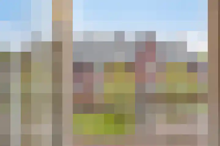 Hof ter Dreef 4 Breda thumbnail 27