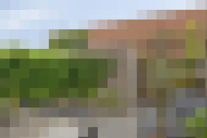Hof ter Dreef 4 Breda thumbnail 35