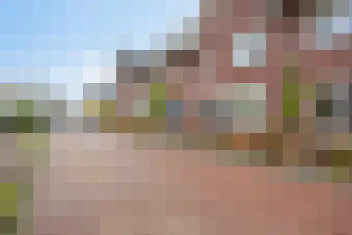 Hof ter Dreef 4 Breda thumbnail 38