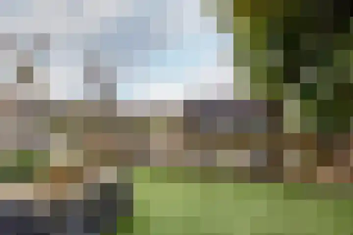 Hof ter Dreef 4 Breda thumbnail 4