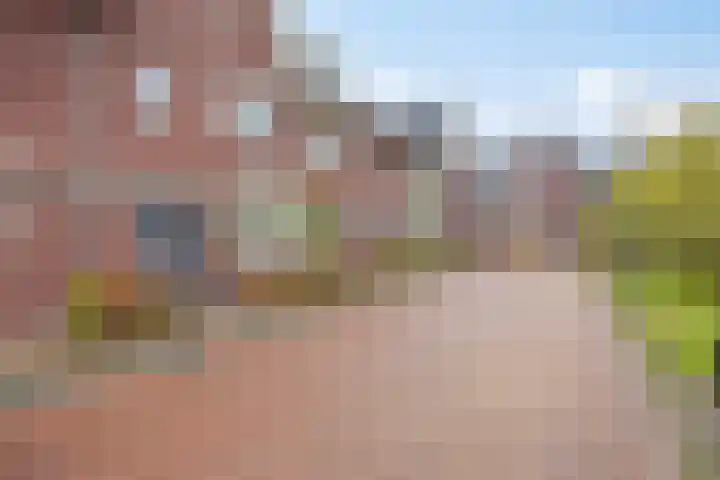 Hof ter Dreef 4 Breda thumbnail 40
