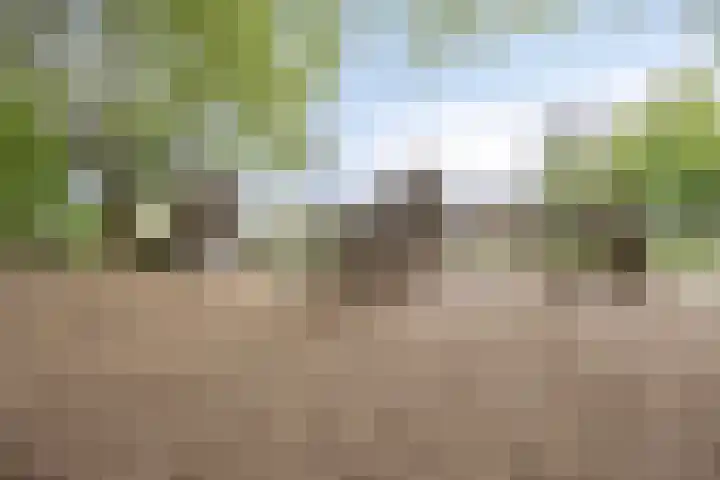 Hof ter Dreef 4 Breda thumbnail 44