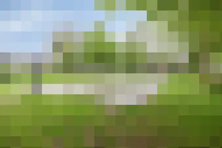 Hof ter Dreef 4 Breda thumbnail 46