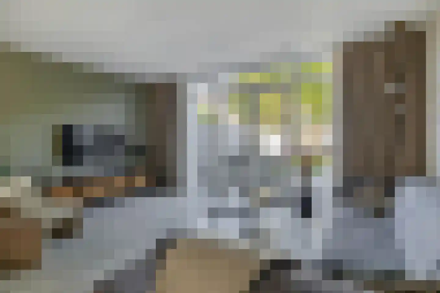 Hof ter Dreef 9 Breda thumbnail 17