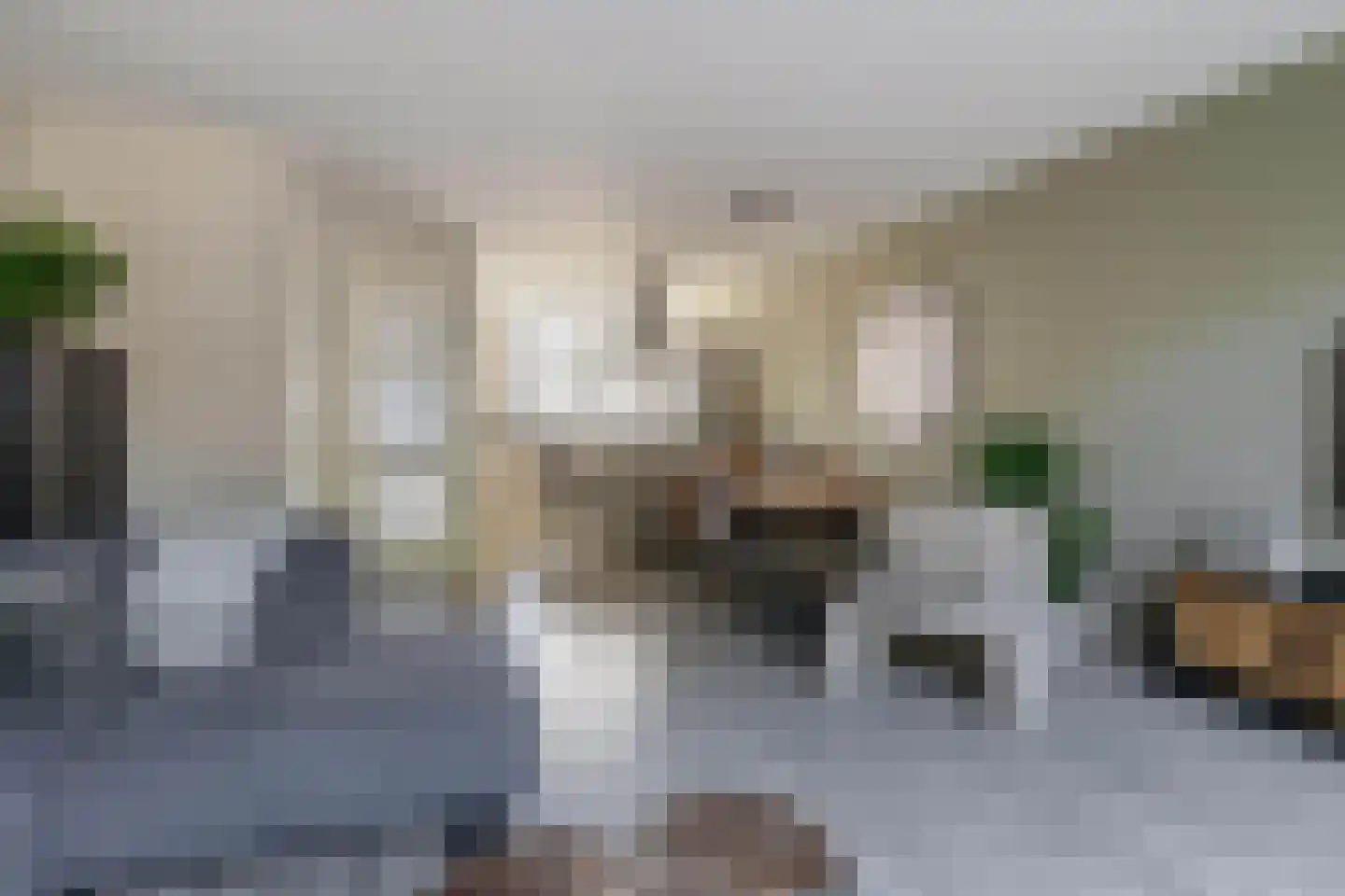 Hof ter Dreef 9 Breda thumbnail 23