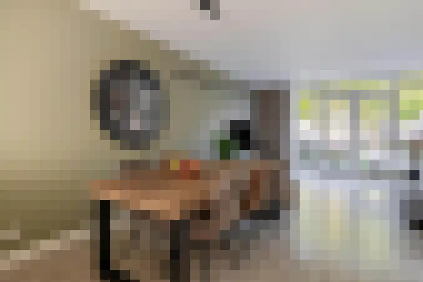 Hof ter Dreef 9 Breda thumbnail 25