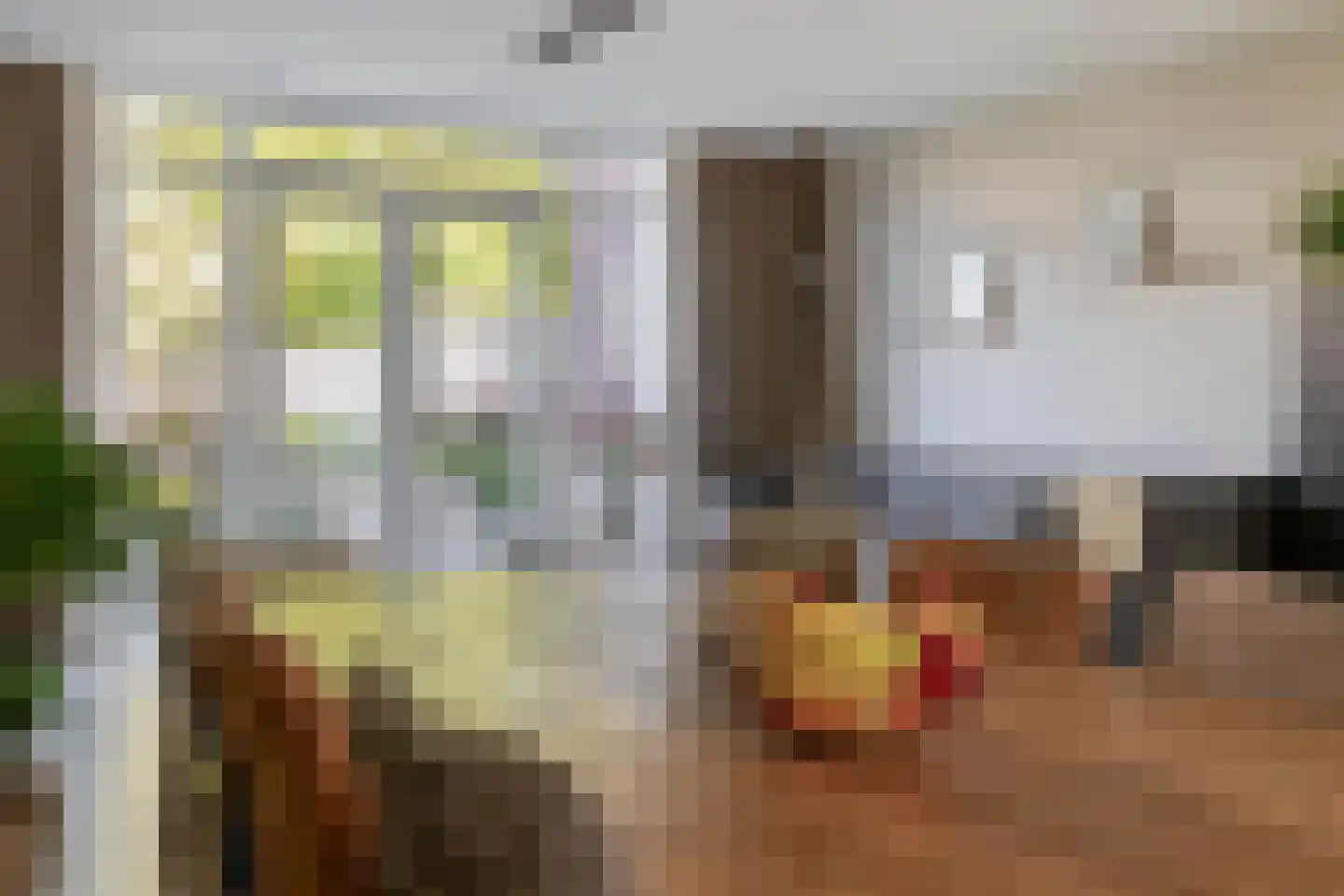 Hof ter Dreef 9 Breda thumbnail 26