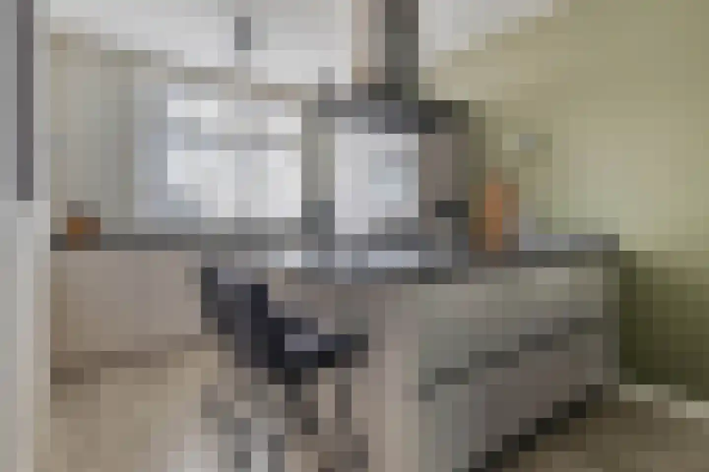 Hof ter Dreef 9 Breda thumbnail 27