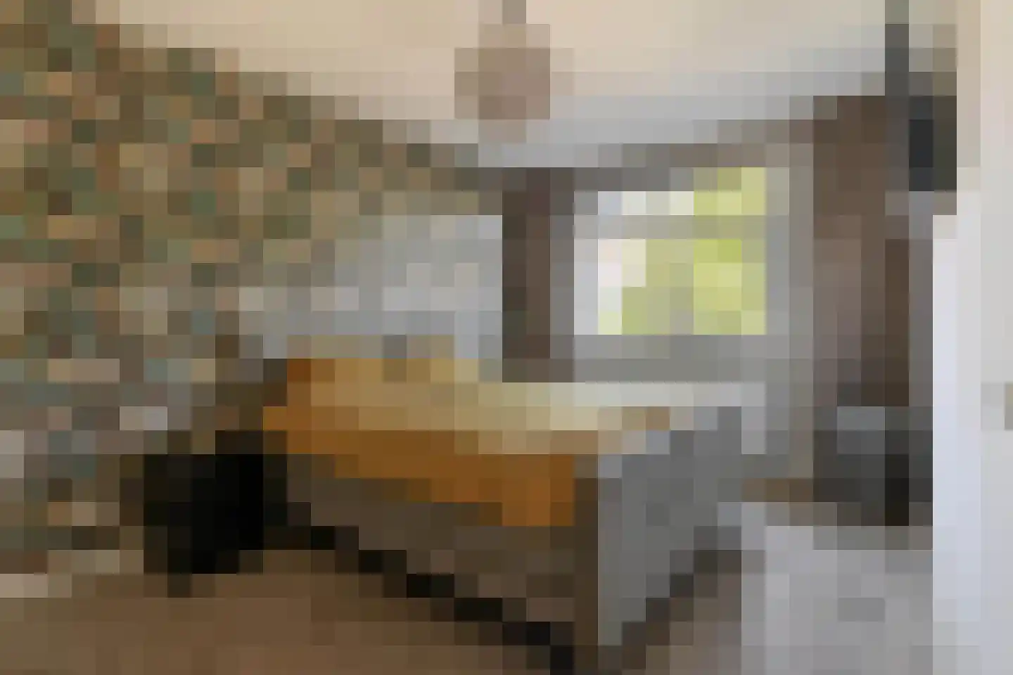 Hof ter Dreef 9 Breda thumbnail 33