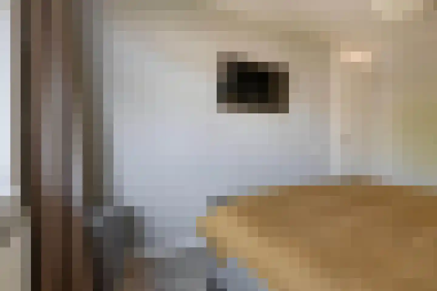 Hof ter Dreef 9 Breda thumbnail 34