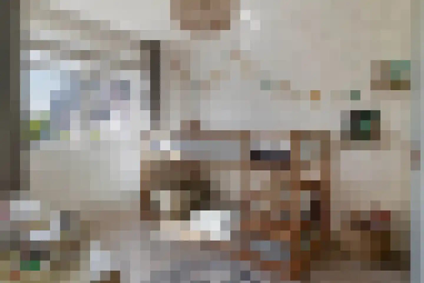 Hof ter Dreef 9 Breda thumbnail 36