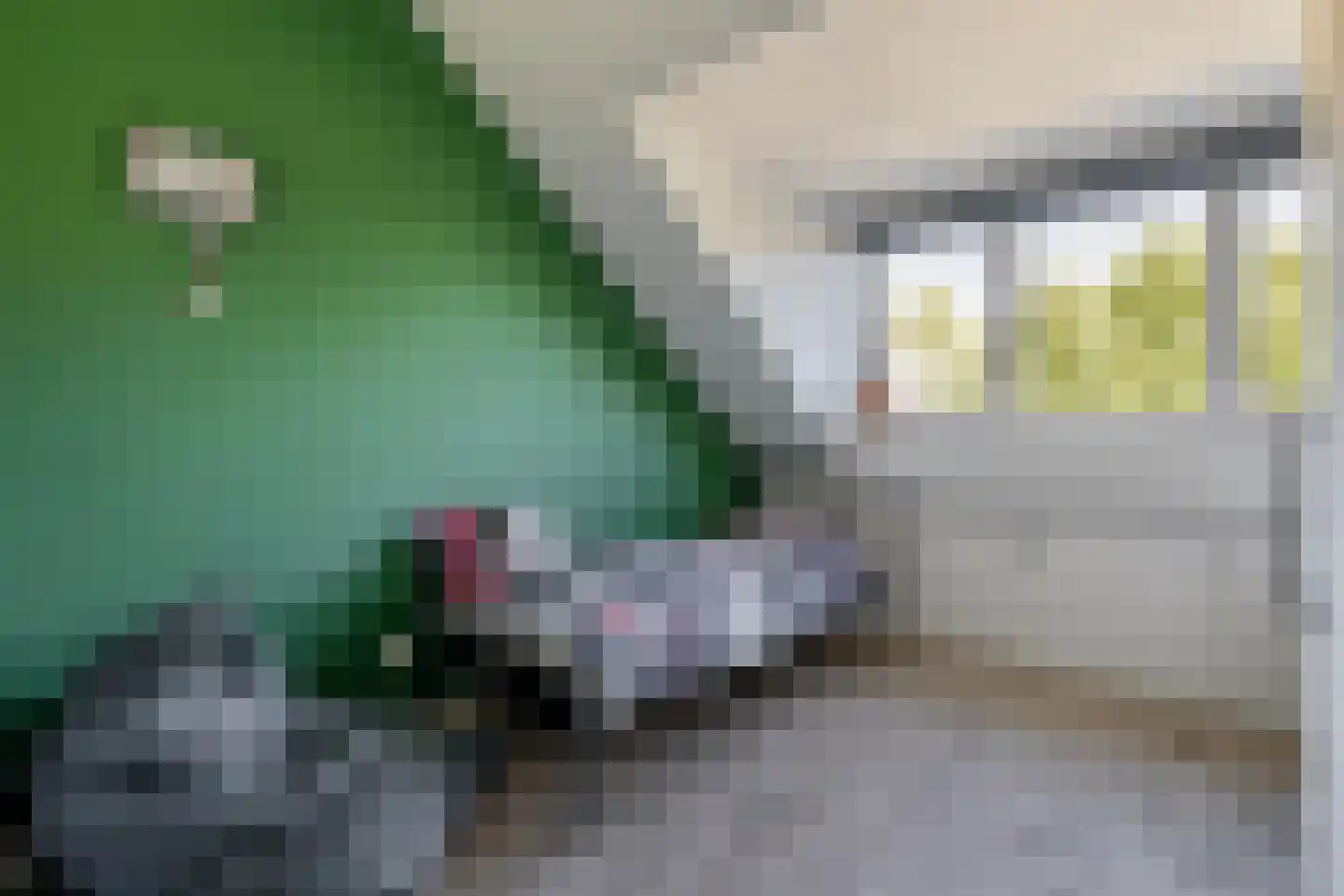 Hof ter Dreef 9 Breda thumbnail 42