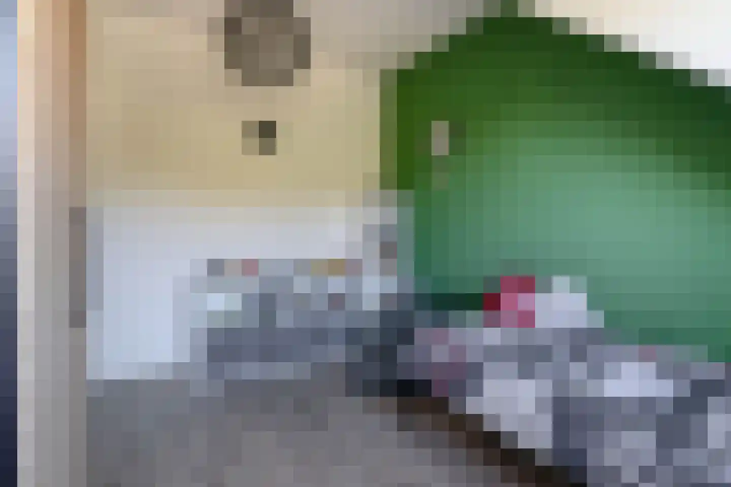 Hof ter Dreef 9 Breda thumbnail 43