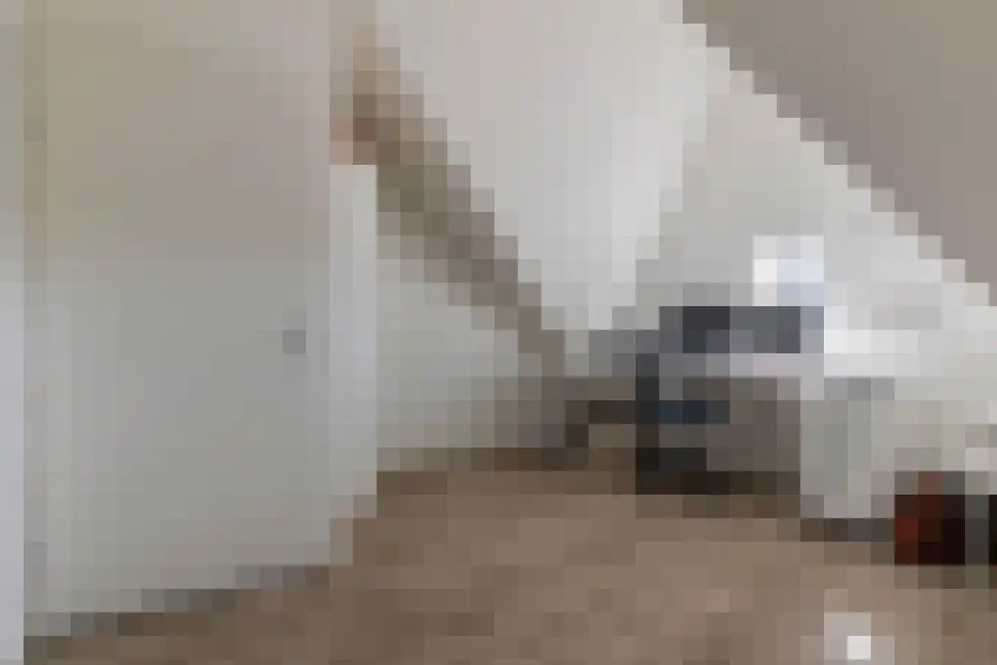 Hof ter Dreef 9 Breda thumbnail 44