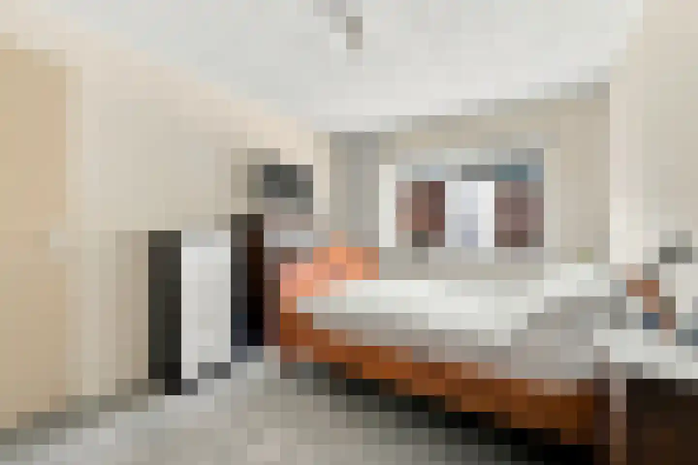 Hof ter Veste 131 Middelburg thumbnail 25
