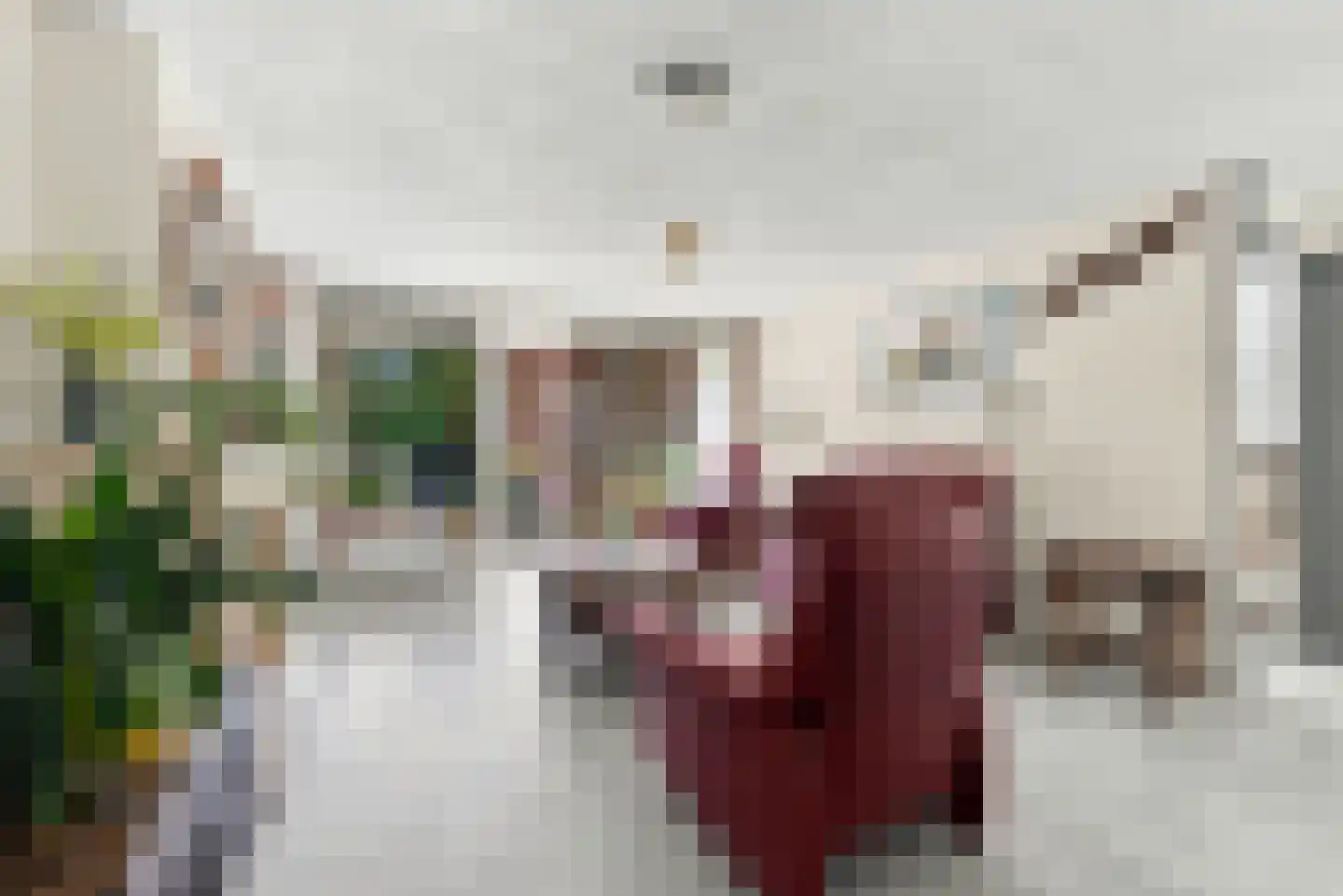 Hof ter Veste 131 Middelburg thumbnail 4
