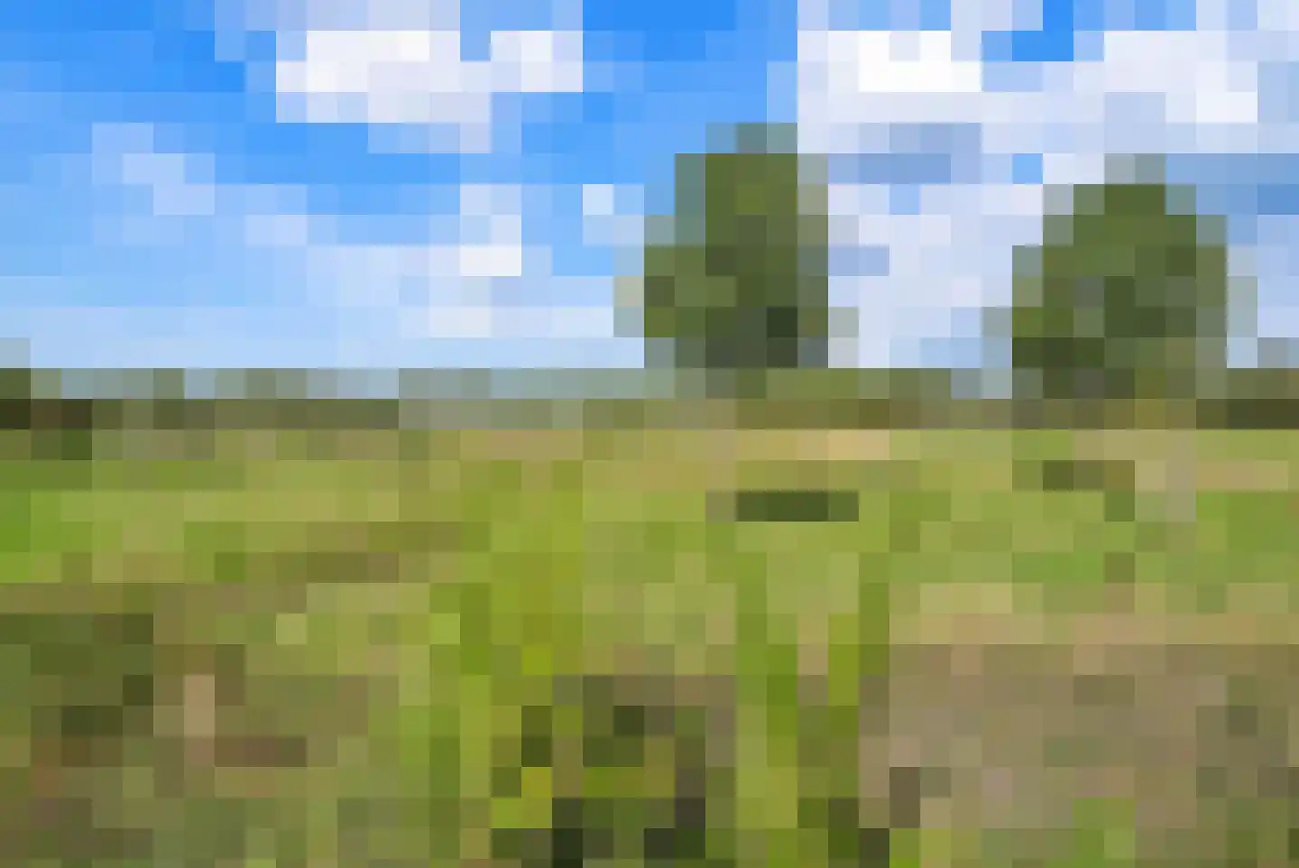 Hof ter Veste 131 Middelburg thumbnail 42