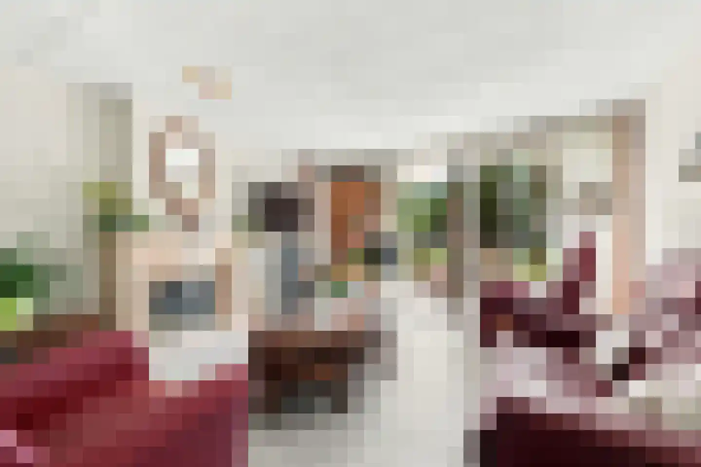 Hof ter Veste 131 Middelburg thumbnail 5