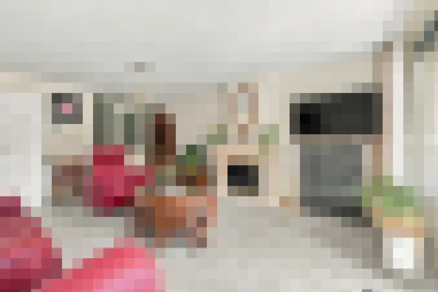 Hof ter Veste 131 Middelburg thumbnail 8