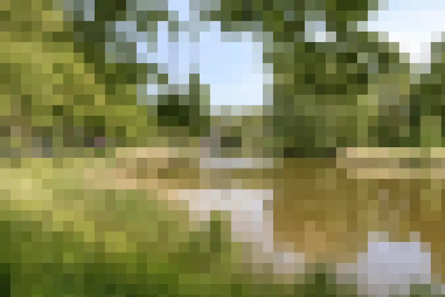 Hof ter Veste 137 Middelburg thumbnail 29