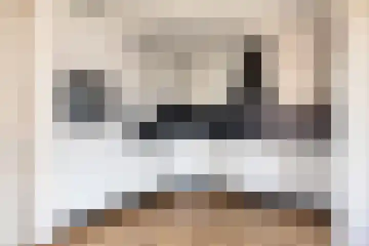 Hof ter Veste 147 Middelburg thumbnail 5