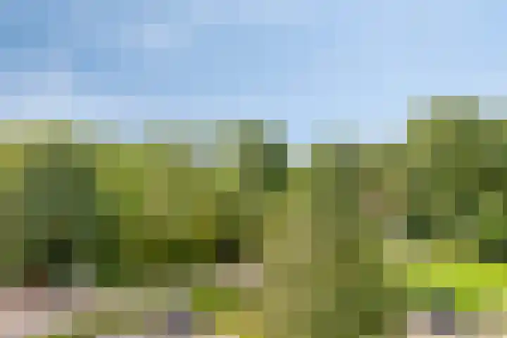 Hof ter Veste 151 Middelburg thumbnail 15