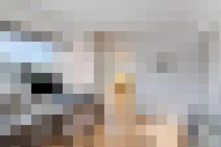 Hof ter Veste 151 Middelburg thumbnail 31