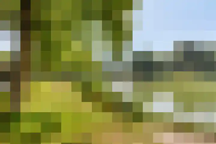 Hof ter Veste 151 Middelburg thumbnail 34