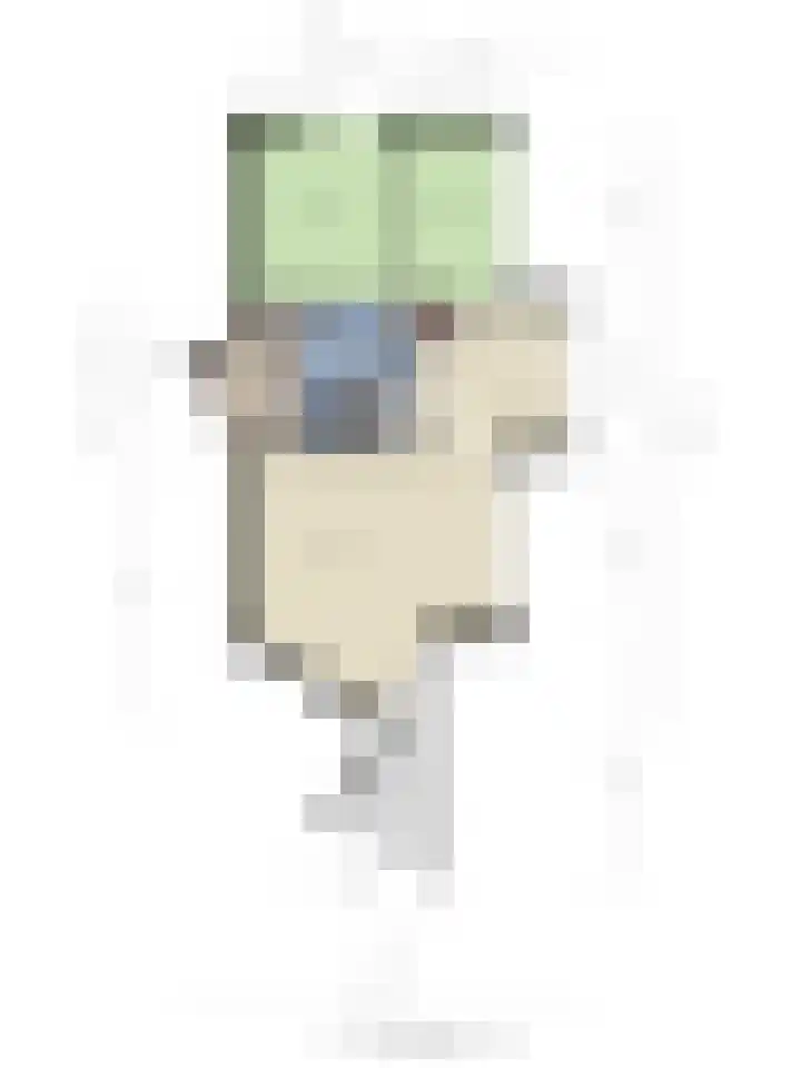 Hof ter Veste 151 Middelburg thumbnail 35