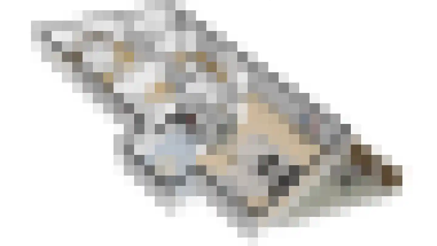 Hof ter Veste 173 Middelburg thumbnail 17