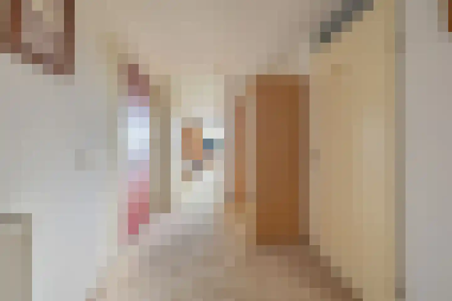 Hof ter Veste 173 Middelburg thumbnail 18