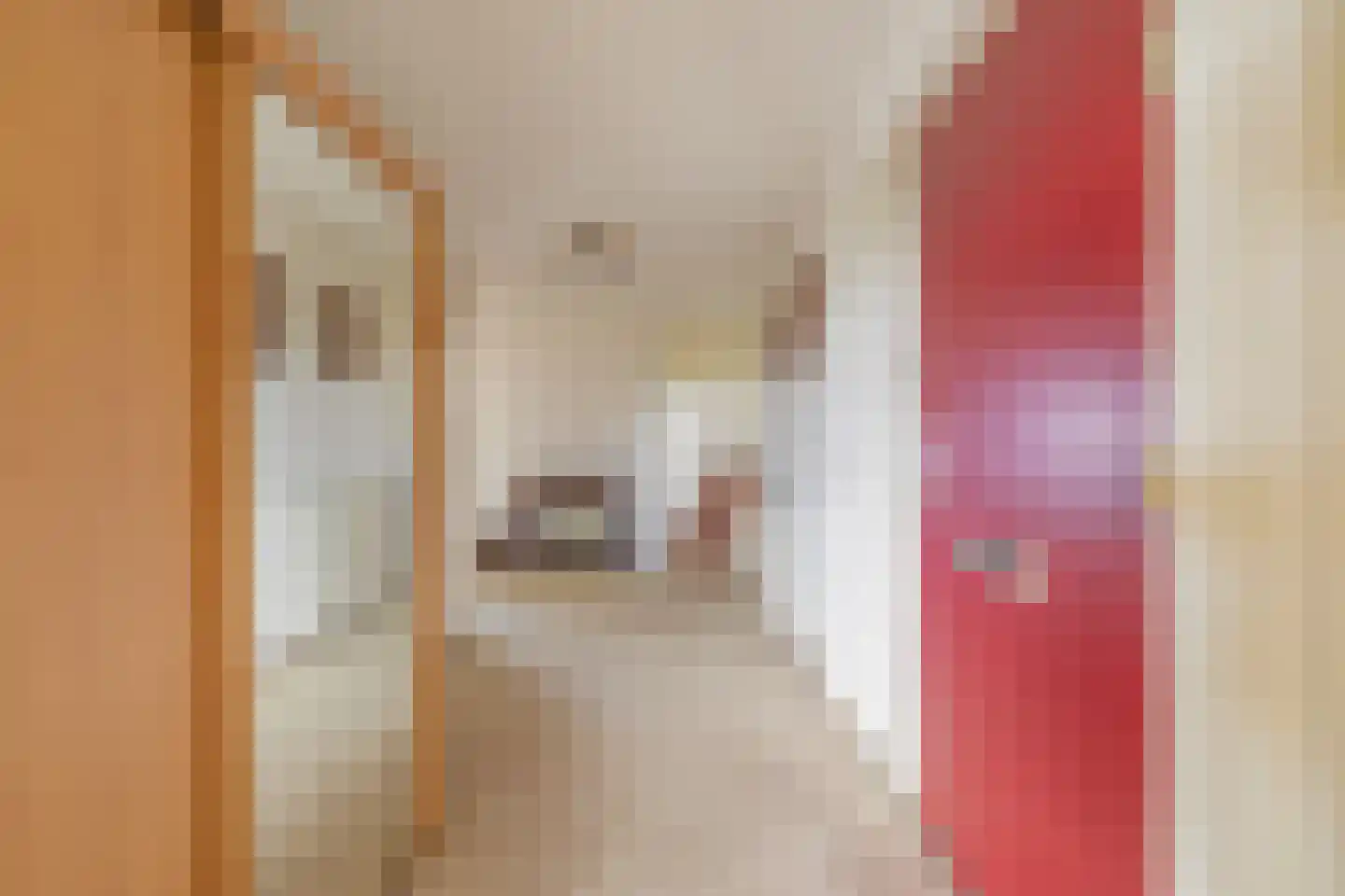 Hof ter Veste 173 Middelburg thumbnail 31