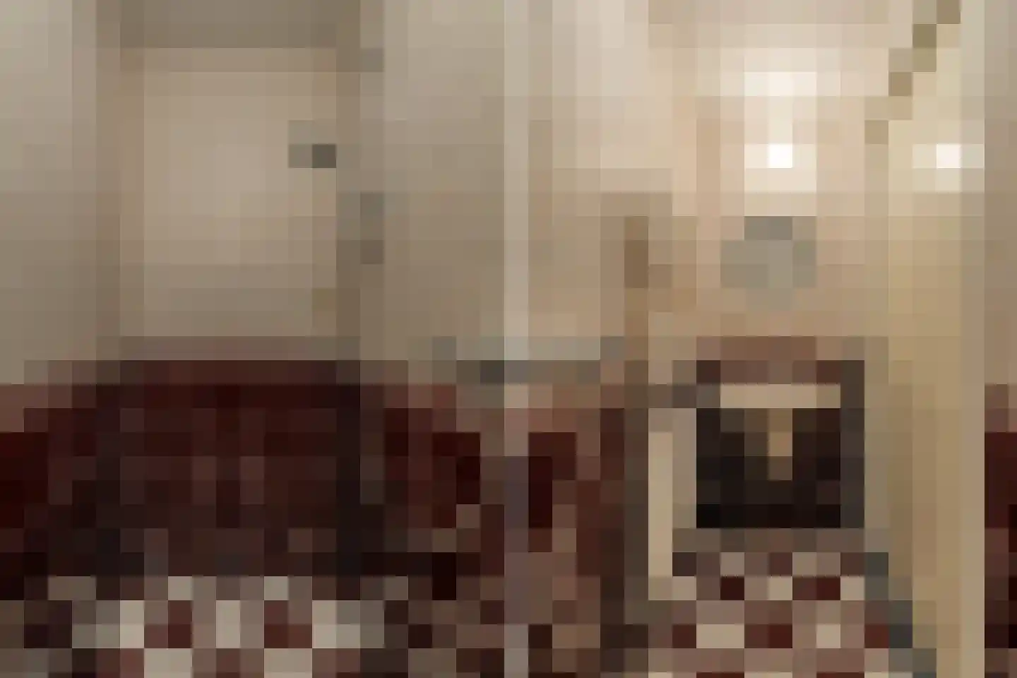 Hof ter Veste 173 Middelburg thumbnail 42