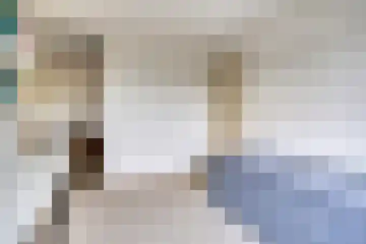 Hof ter Veste 177 Middelburg thumbnail 21