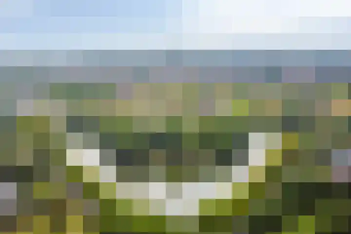 Hof ter Veste 177 Middelburg thumbnail 30