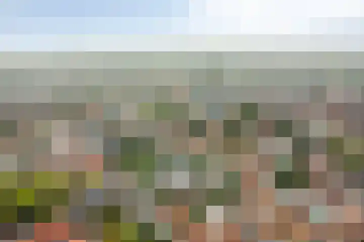 Hof ter Veste 177 Middelburg thumbnail 31