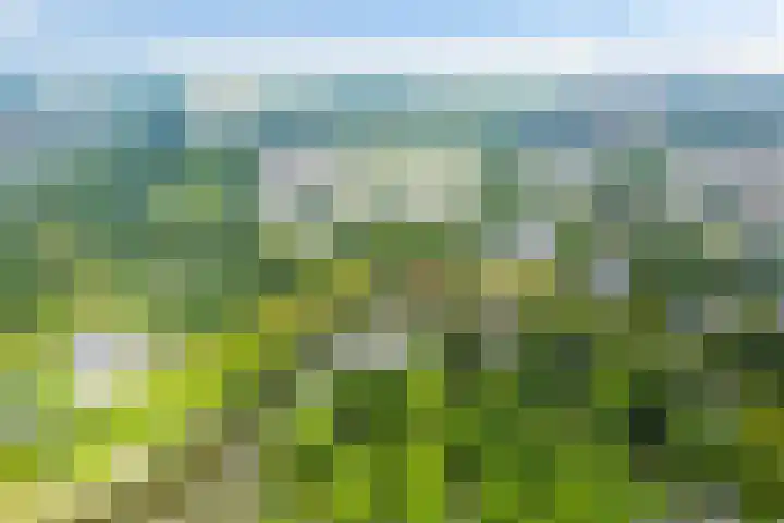 Hof ter Veste 177 Middelburg thumbnail 32