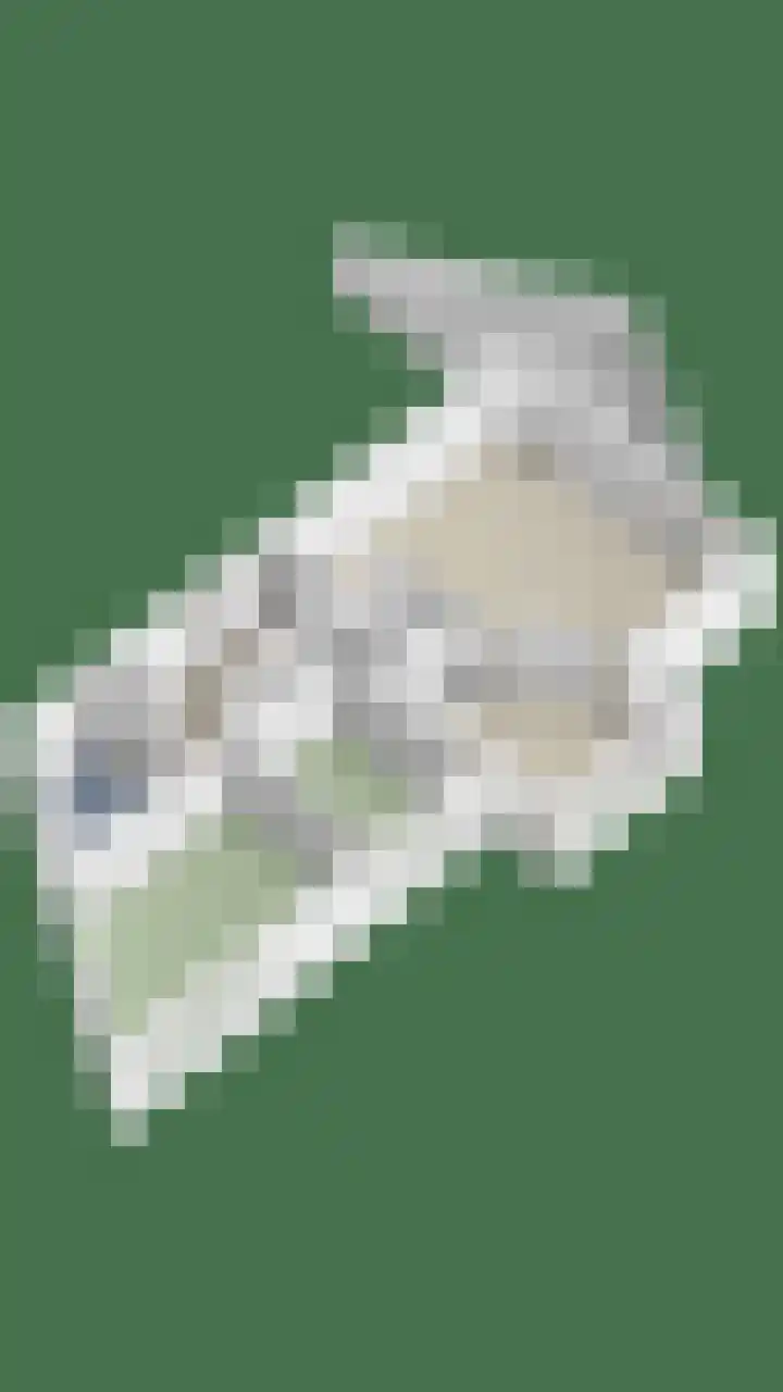 Hof ter Veste 177 Middelburg thumbnail 37