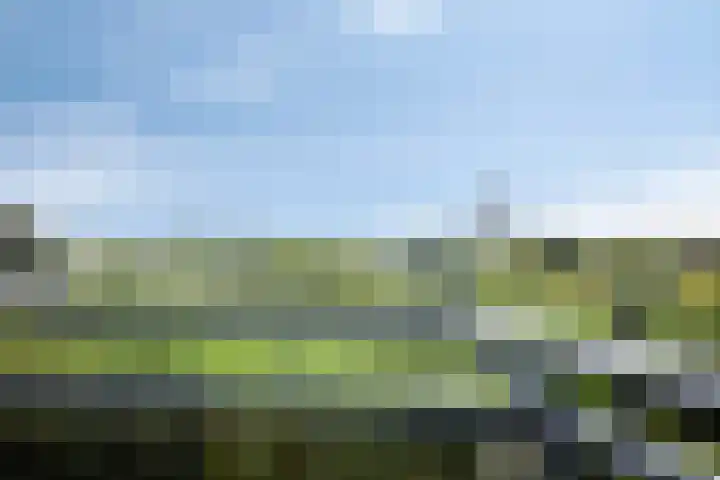 Hof ter Veste 177 Middelburg thumbnail 8