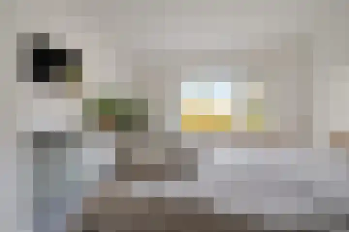Hof ter Weydeweg 3 Vleuten thumbnail 17