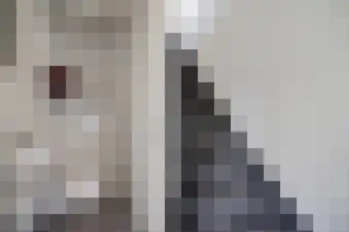 Hof ter Weydeweg 3 Vleuten thumbnail 20